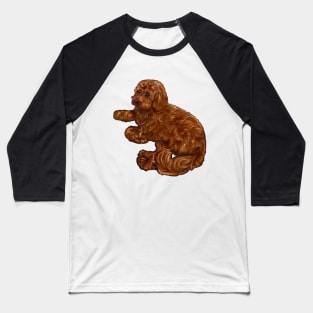 Cavapoo puppy dog vogue pose - cavalier king charles spaniel poodle, puppy love Baseball T-Shirt